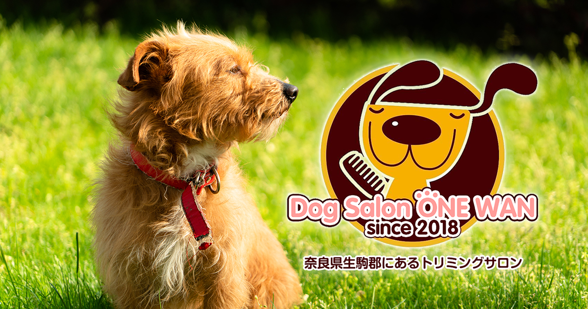 Dog Salon ONE WAN｜法隆寺駅近くでトリミング・炭酸泉
